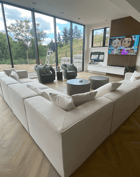 Professional fabric care team