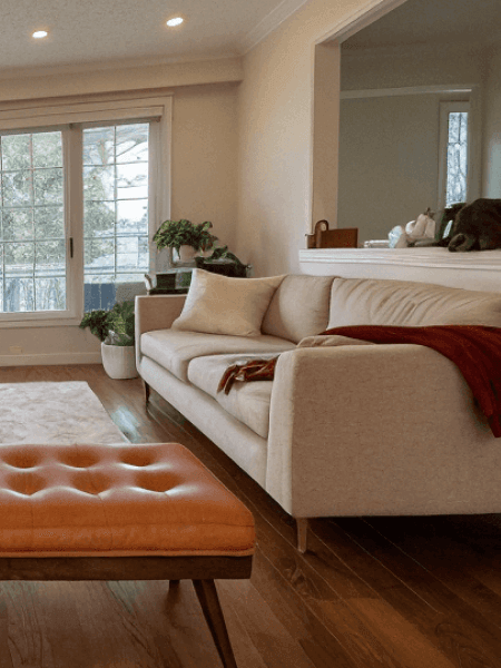 Professional upholstery cleaning and fabric care showcase