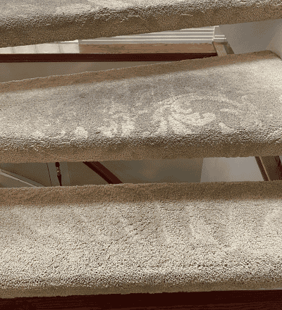 Professional carpet cleaning service