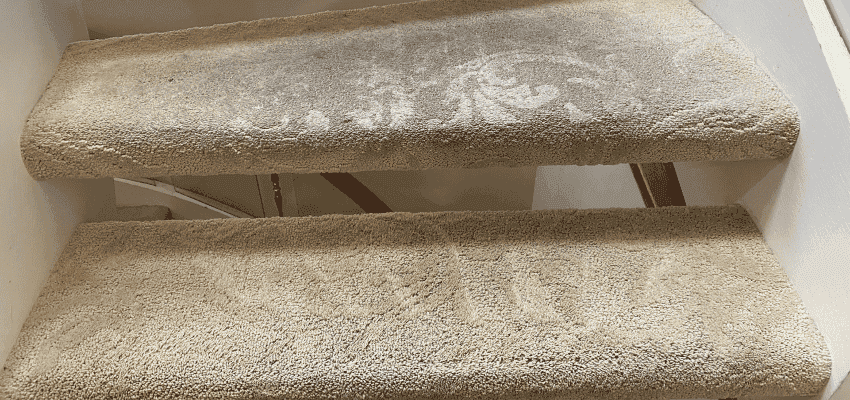 Professional carpet cleaning service