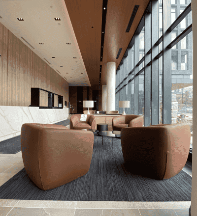 Commercial couch cleaning service