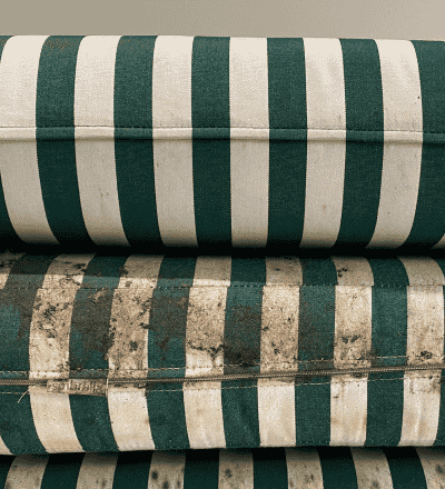 Professional upholstery cleaning service